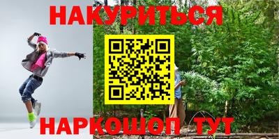 альфа пвп Новодвинск