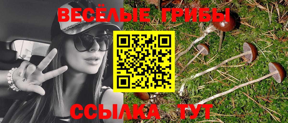 Псилоцибиновые грибы Psilocybine cubensis  Галлюциногенные грибы GOLDEN TEACHER  Вход с VPN  Ялуторовск 