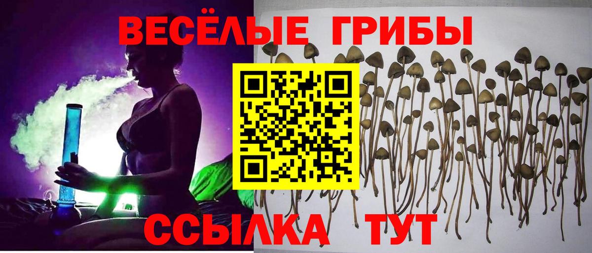Псилоцибиновые грибы Magic Shrooms Ялуторовск